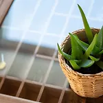 Rooftop Arts&crafts Apartment, Zentral Und Ruhig, 3 Dachterrassen Апартаменты