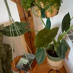 Rooftop Arts&crafts Apartment, Zentral Und Ruhig, 3 Dachterrassen Аугсбург