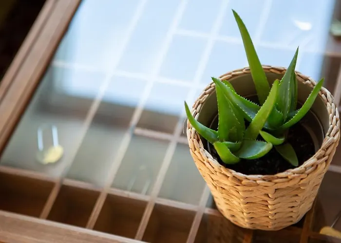 Rooftop Arts&crafts Apartment, Zentral Und Ruhig, 3 Dachterrassen Appartement